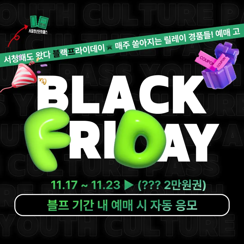 서울청년문화패스 블랙프라이데이