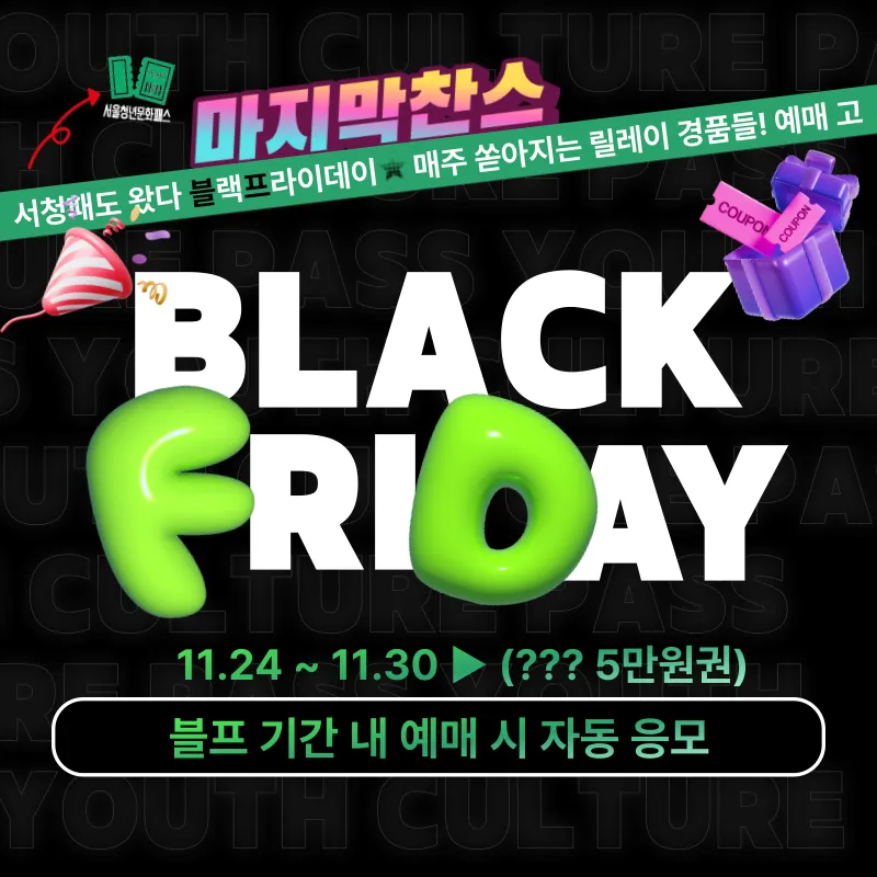 서울청년문화패스 블랙프라이데이